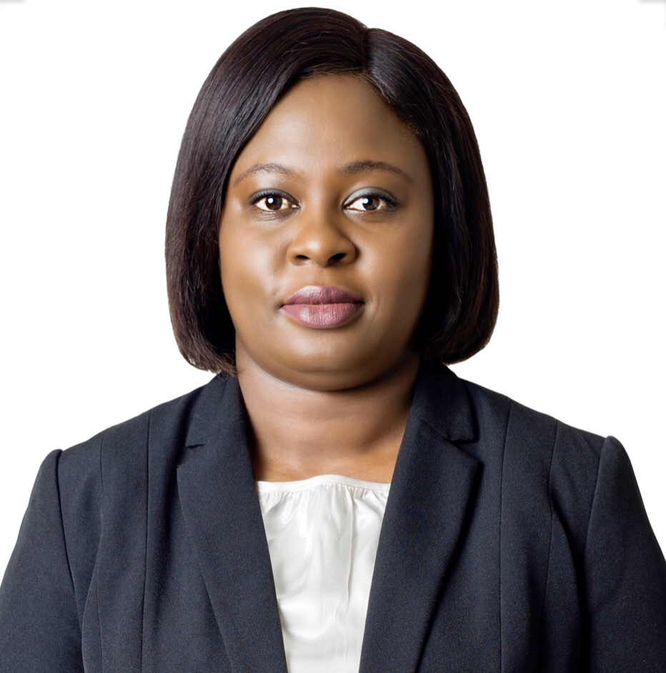 Bank of Zambia gets new Deputy Governor Administration – The Business ...